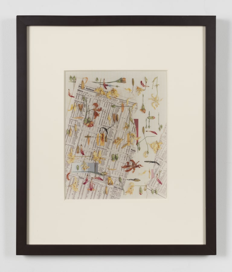 Artwork: Bruce Wrighton, Untitled still-life, December 1984