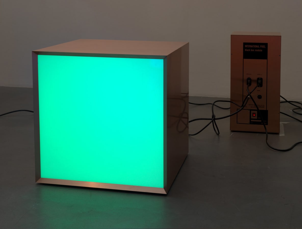 Artwork: Angela Bulloch, Copper Single, 2010