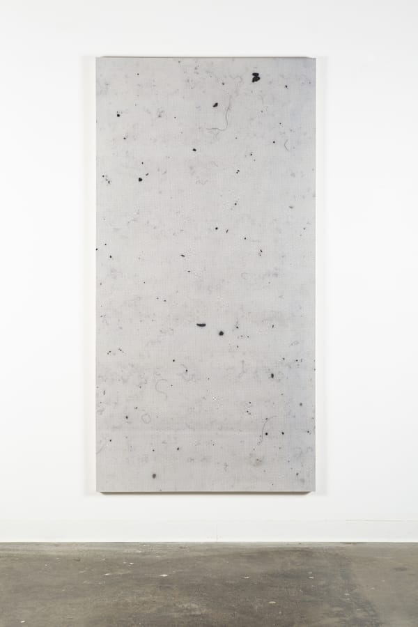 Artwork: Hugh Scott-Douglas, Untitled, 2014