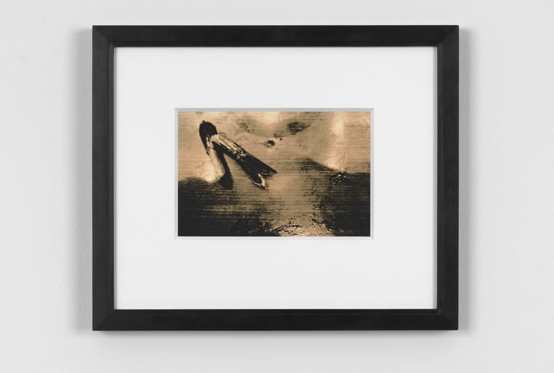 Artwork: João Penalva, Michio Harada, Tsukiji Fish Market no.1, 1972, 2015