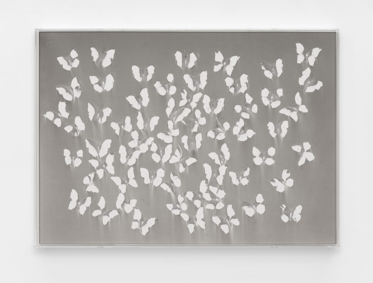 Artwork: Claudio Parmiggiani, Untitled, 2020