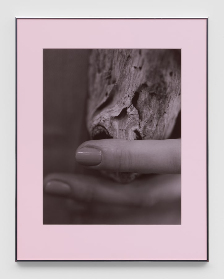 Artwork: Josephine Pryde, Pacific Driftwood (Pink Lilac Filter), 2014/2020