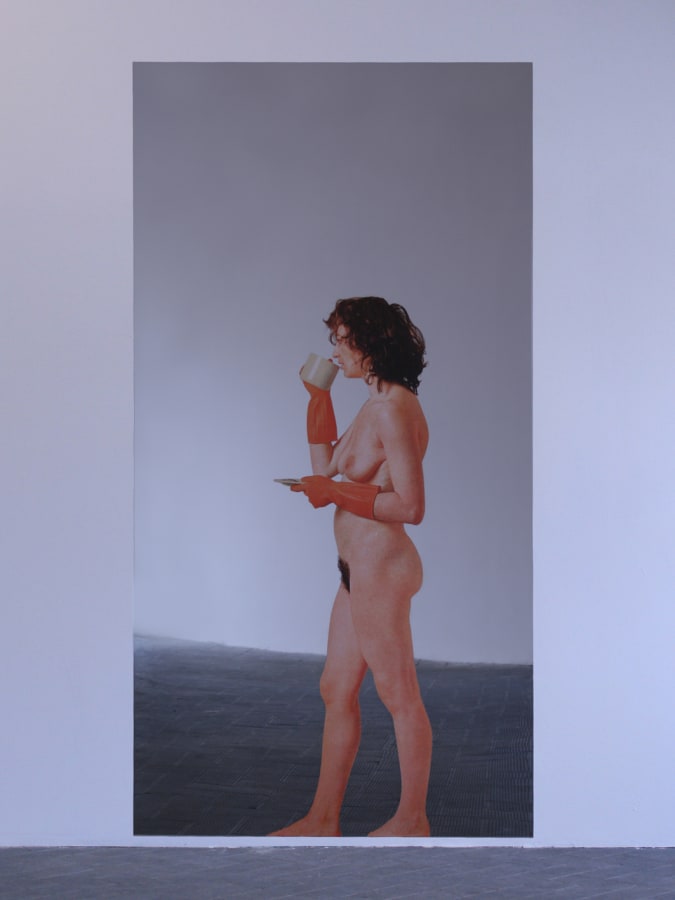 Artwork: Michelangelo Pistoletto, Donna nuda con guanti di gomma rosa (Nude Woman with Rubber Gloves), 1973