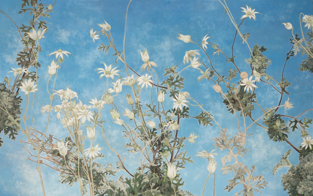Artwork: Cressida Campbell, Flannel Flowers, 2013