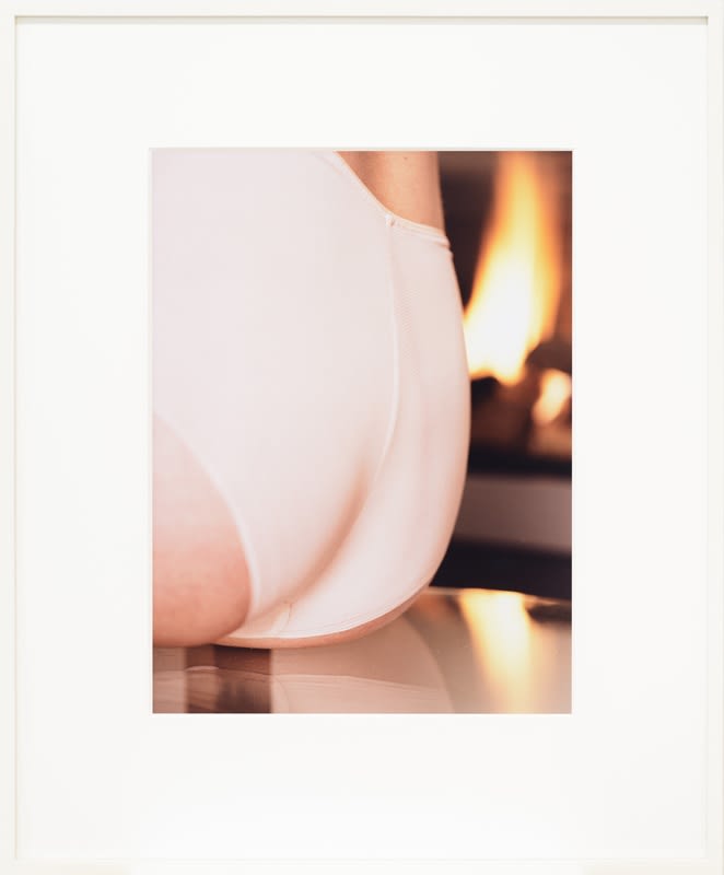 Artwork: Josephine Pryde, Knickers V, 2014
