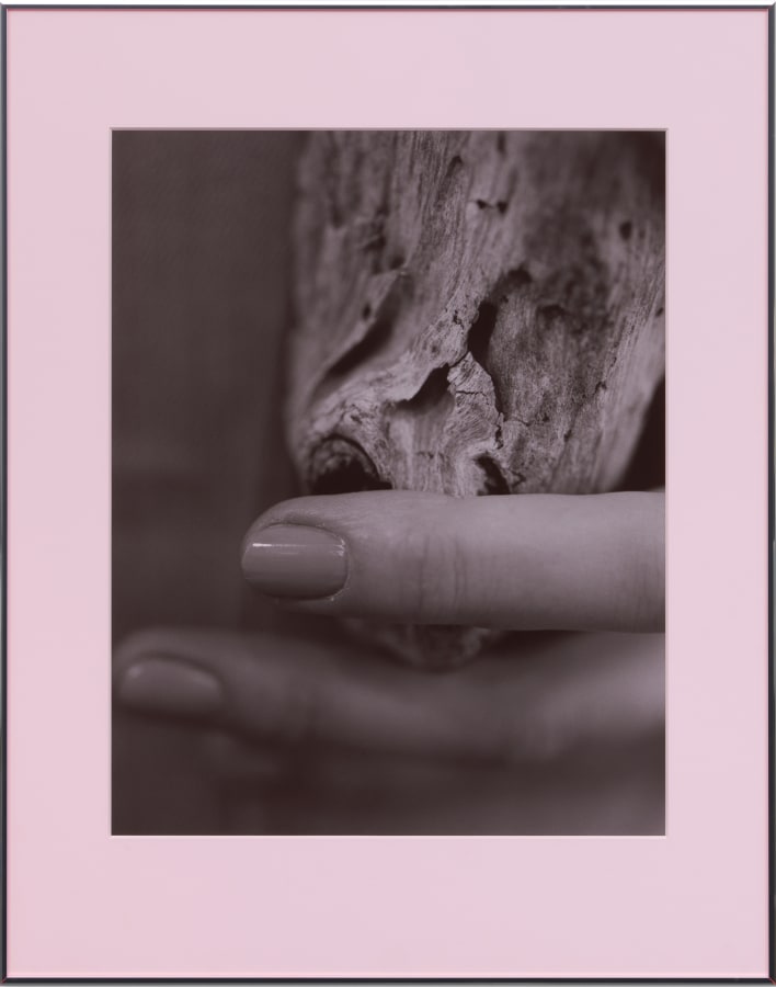 Artwork: Josephine Pryde, Pacific Driftwood (Pink Lilac Filter), 2014/2020