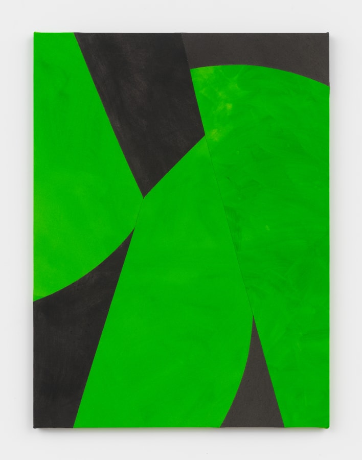 Artwork: Sarah Crowner, Green Wings, Evening Light, 2019