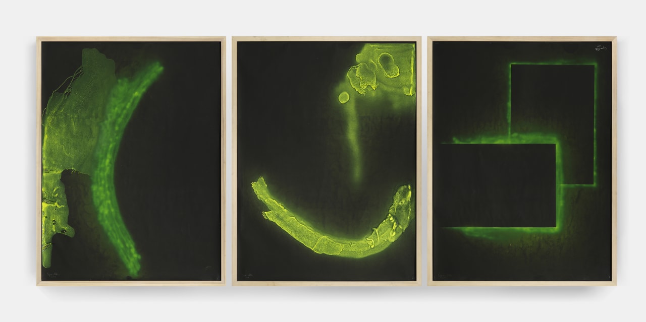 Artwork: Sigmar Polke, Carbon für E. Ch. (in 3 parts), 2001