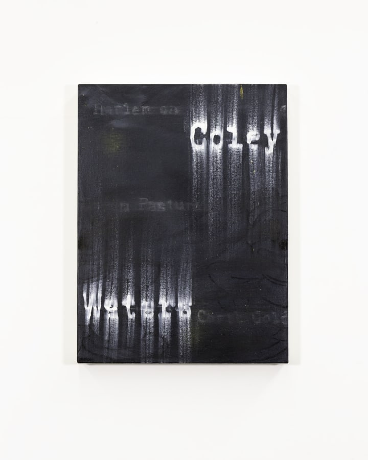 Artwork: Gary Simmons, Carib Gold Waters, 2018