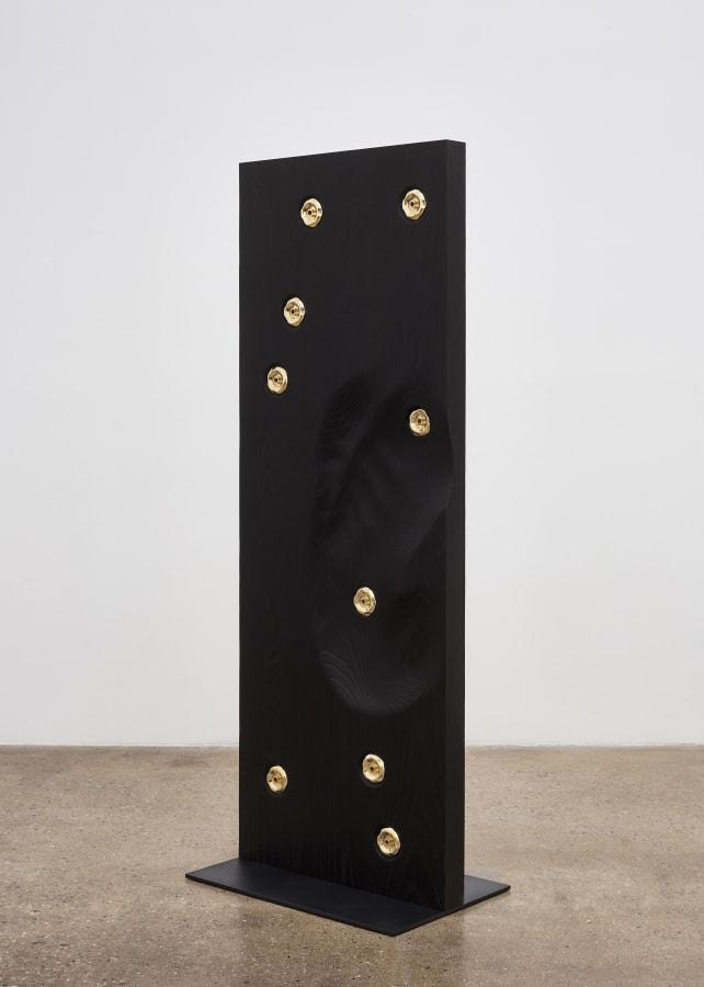 Artwork: Mika Tajima, Pranayama (Monolith, D, shou sugi ban), 2019