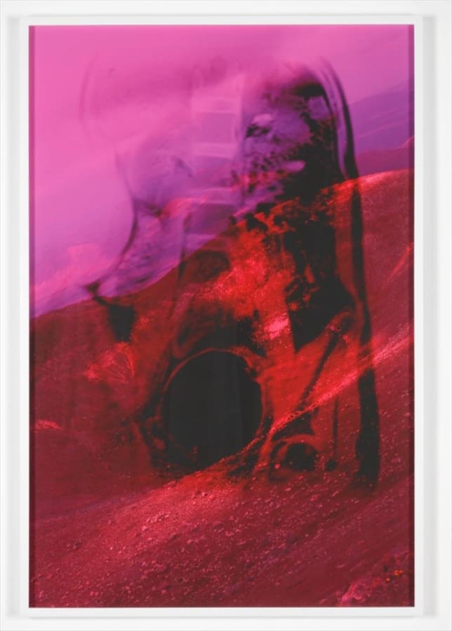 Artwork: Josephine Pryde, It's Not My Body, XII, 2011