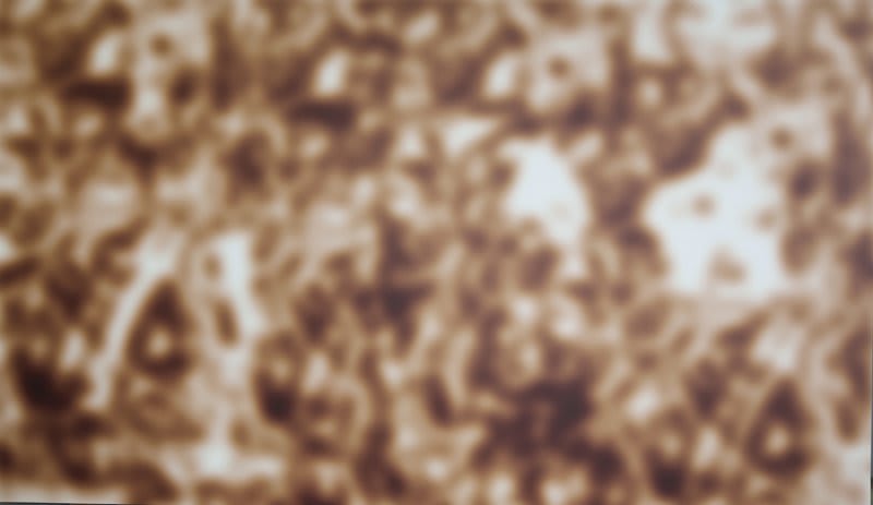 Artwork: Jeff Elrod, Nobody Sees Like Us (Sepia), 2013