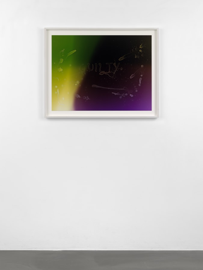Artwork: Josephine Pryde, The Semen of an Anonymous Stallion Exposed in Artificial Light (80mm, Spectrum Green through Maroon), 2017