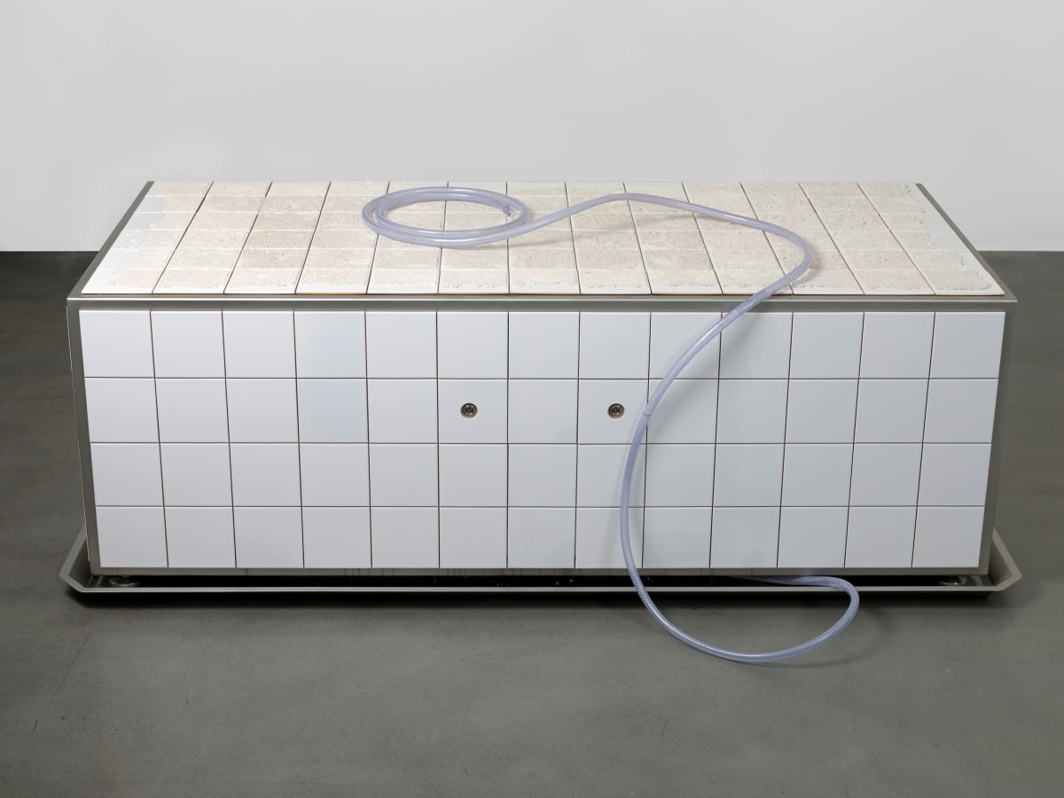 Artwork: Mai-Thu Perret, Zone, 2016