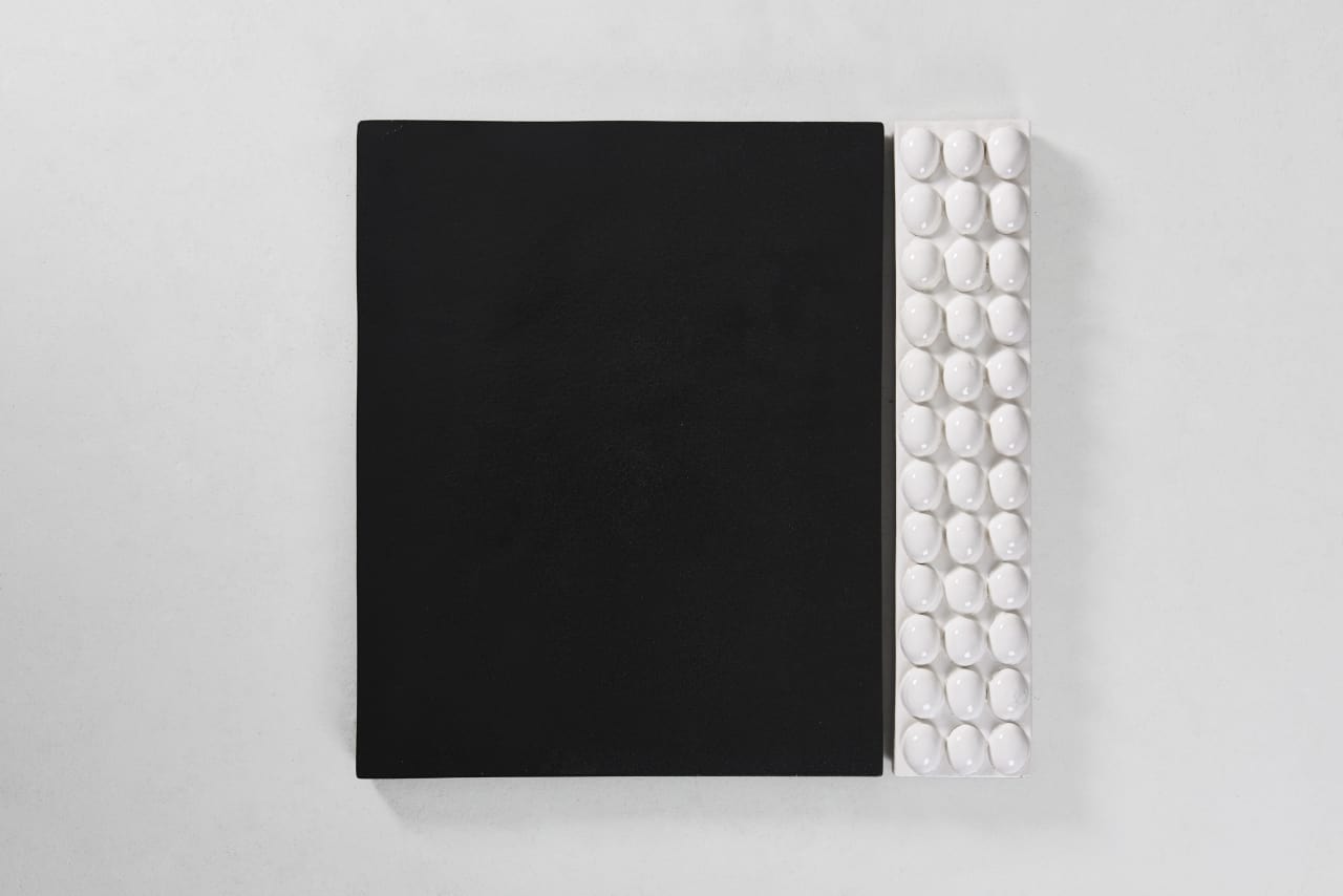 Artwork: Mai-Thu Perret, Again this thousand-year-old eggplant root, 2016