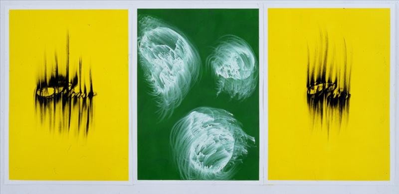 Artwork: Gary Simmons, House / Pain, 2007