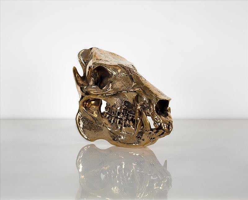 Artwork: Sherrie Levine, Javelina Skull, 2010
