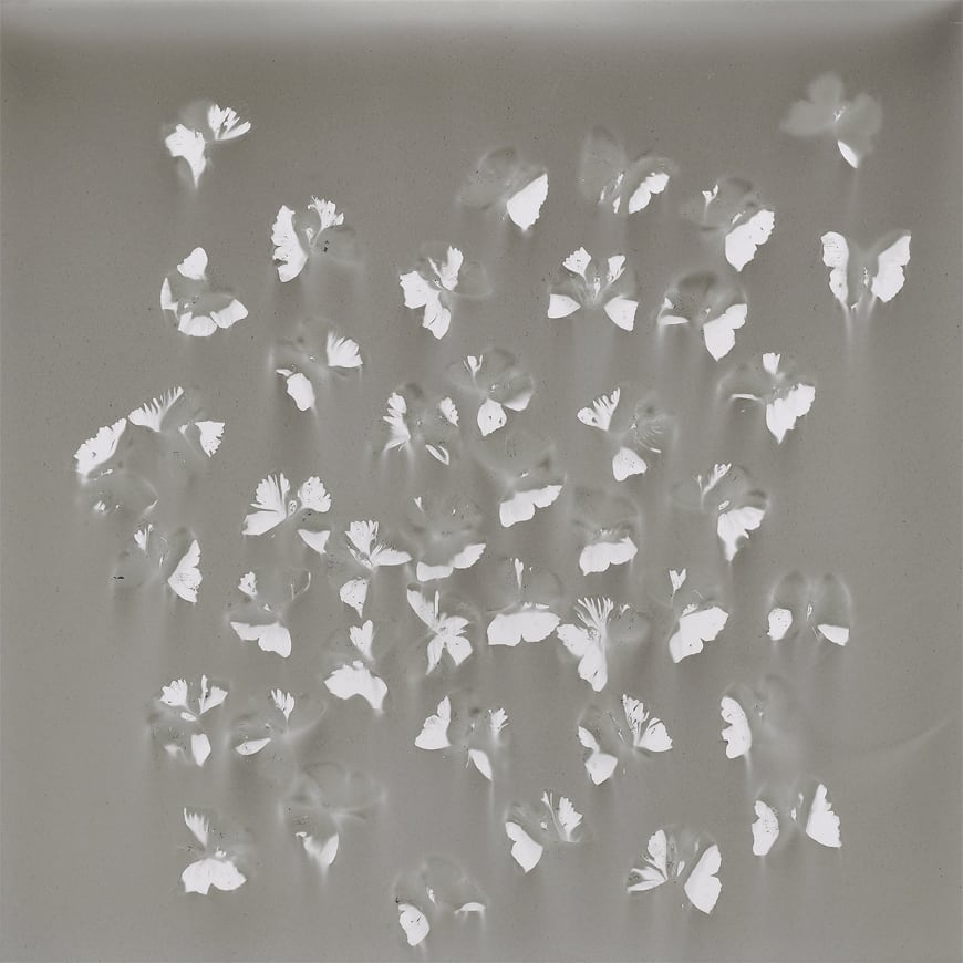 Artwork: Claudio Parmiggiani, Senza Titolo, 2018