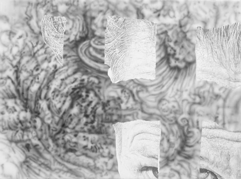 Artwork: Jim Shaw, Partial Ripped-Up Face + Leonardo