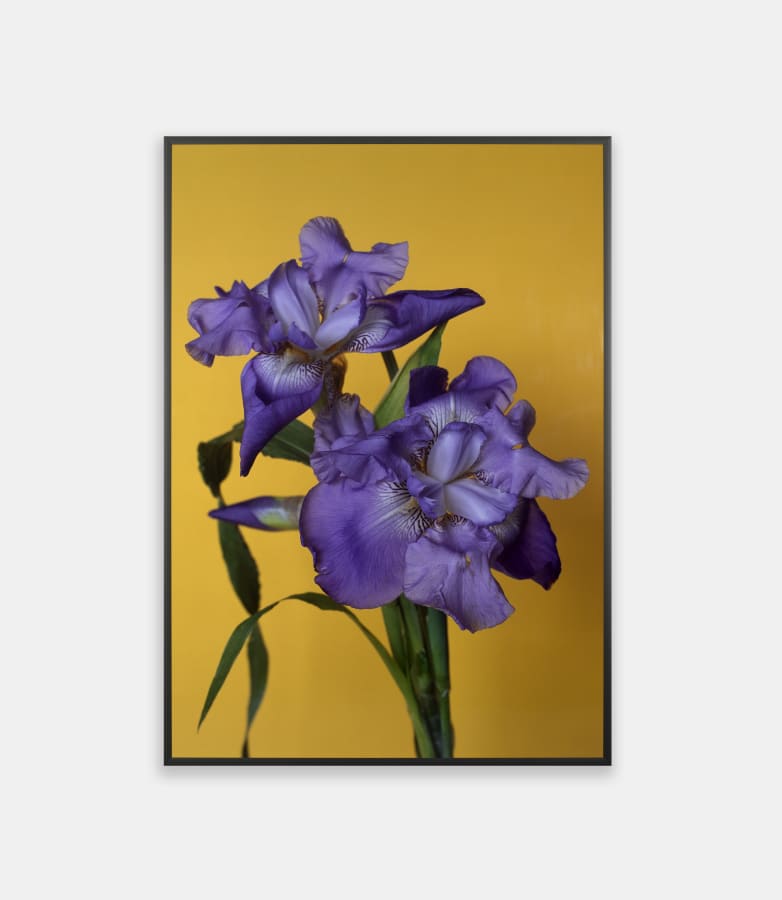 Artwork: Hans-Peter Feldmann, Untitled