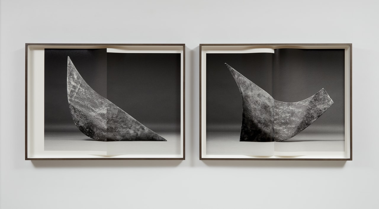 Artwork: Erin Shirreff, Figures (no. 1), 2019