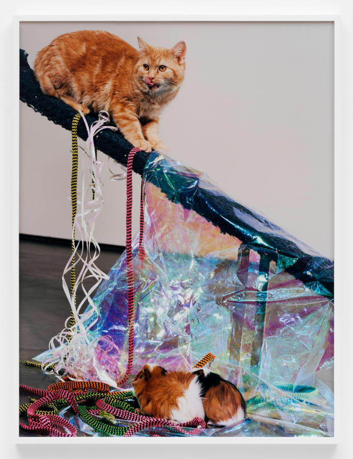 Artwork: Josephine Pryde, Scale XXIII, 2012