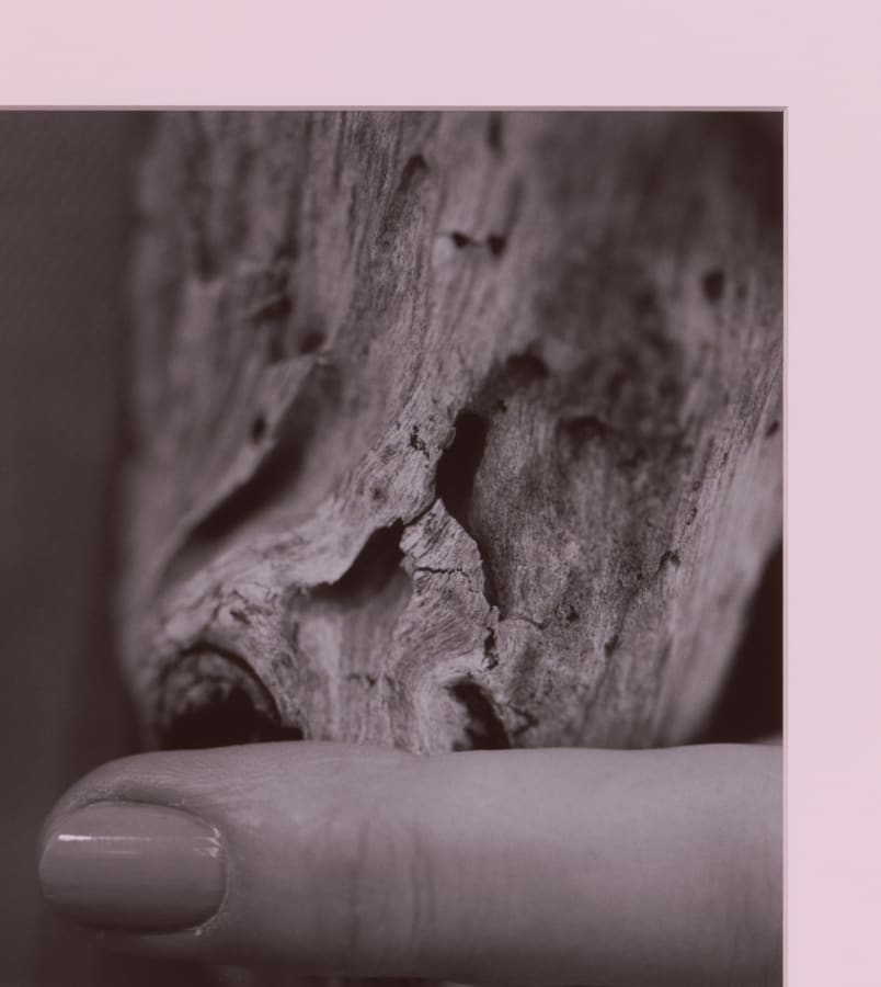 Artwork: Josephine Pryde, Pacific Driftwood (Pink Lilac Filter), 2014/2020