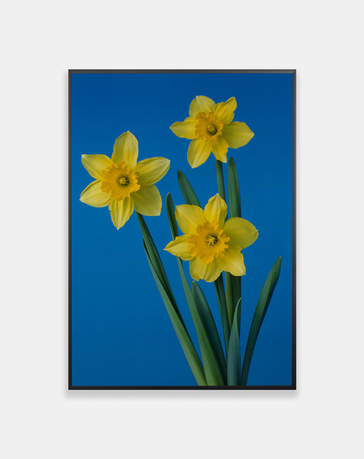 Artwork: Hans-Peter Feldmann, Untitled