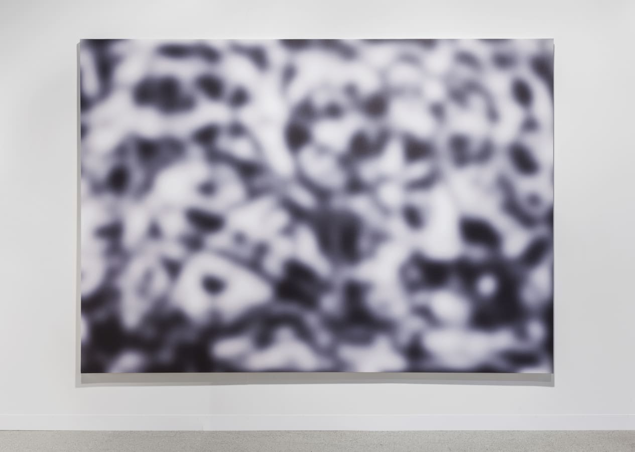 Artwork: Jeff Elrod, Inverted Echo (black and white), 2014