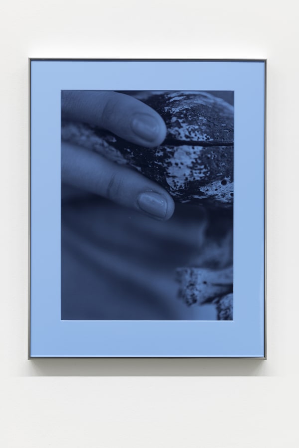 Artwork: Josephine Pryde, Pacific Driftwood (Blue Filter), 2014/2020