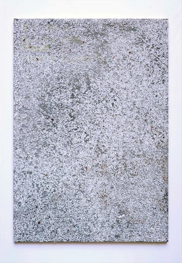 Artwork: Heimo Zobernig, Untitled, 2009