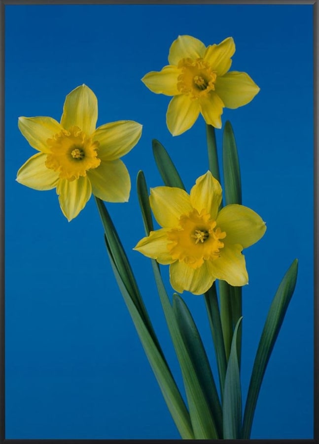 Artwork: Hans-Peter Feldmann, Untitled