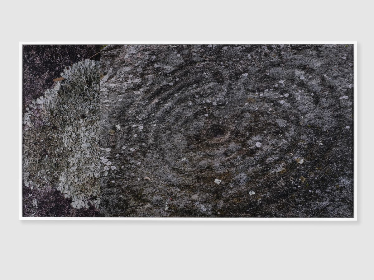 Artwork: Josephine Pryde, Cup and Ring 4, 2018