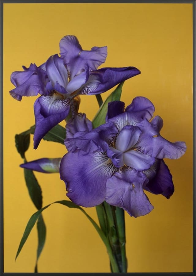 Artwork: Hans-Peter Feldmann, Untitled