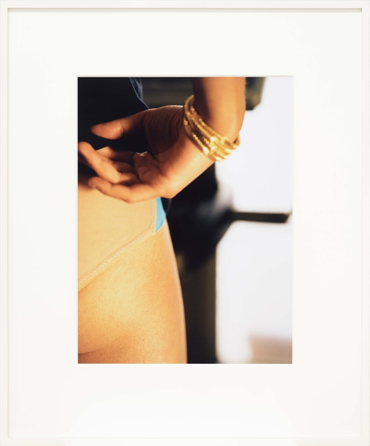 Artwork: Josephine Pryde, Knickers VIII, 2014