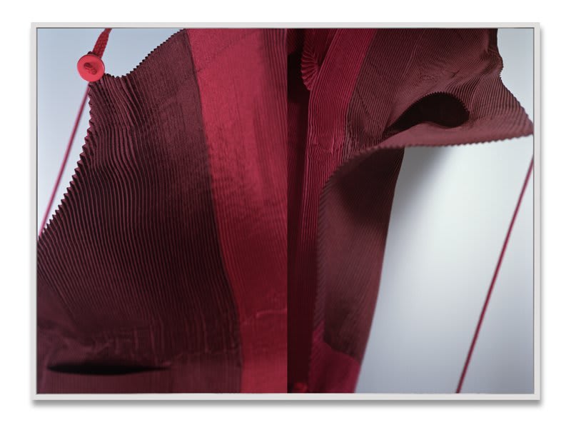 Artwork: Josephine Pryde, Strong Feelings Can Be Hard to Bear, 2010