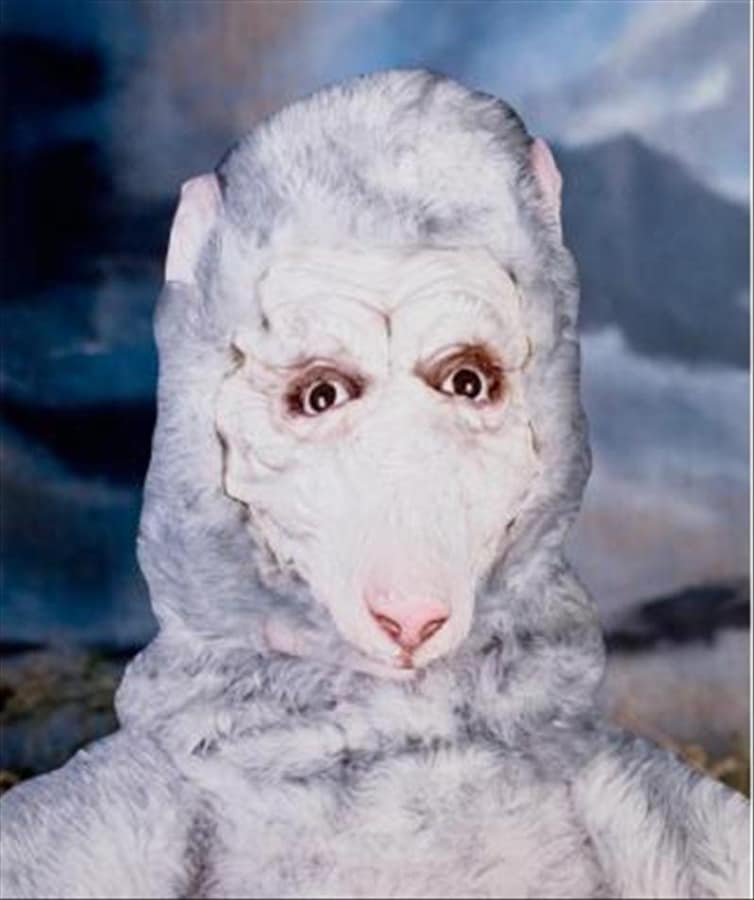 Artwork: Marnie Weber, Possum Portrait, 2008