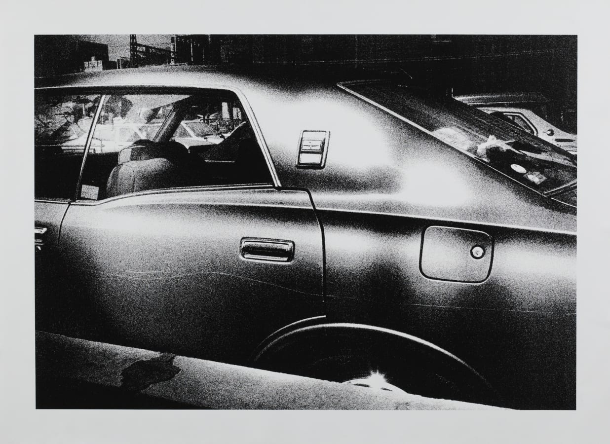 Artwork: Daido Moriyama, Memory of Dog 2, 1982/2013