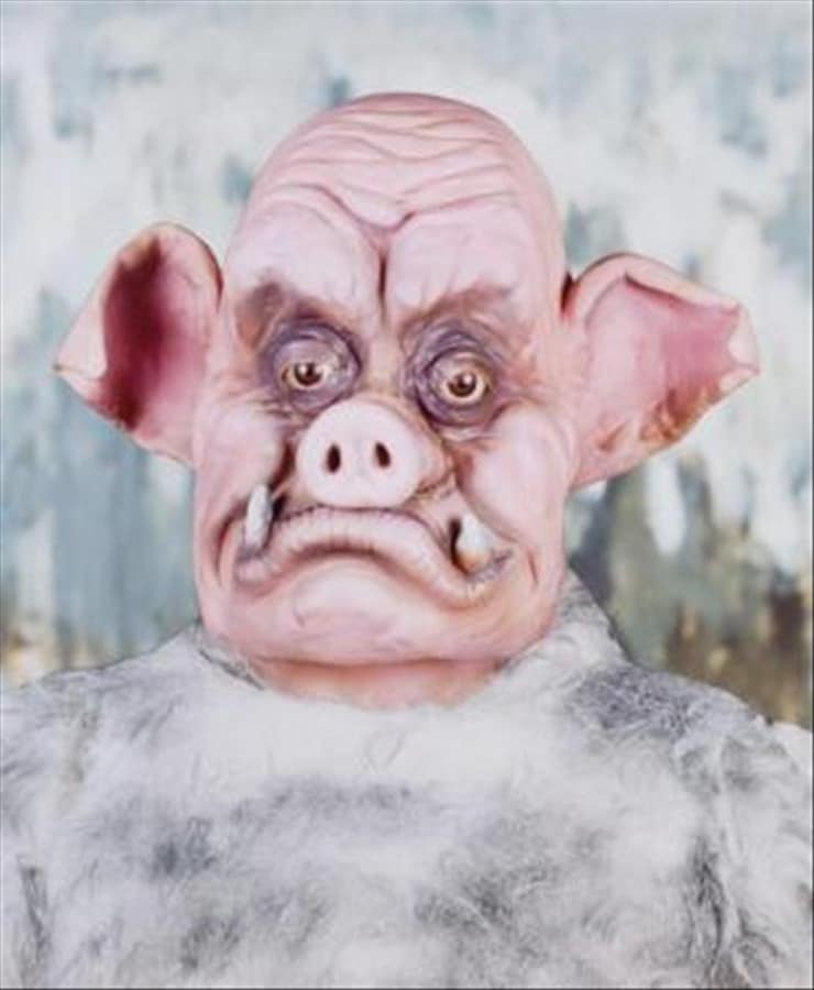 Artwork: Marnie Weber, Warthog Portrait, 2008