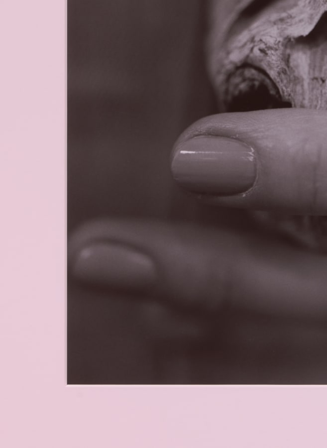 Artwork: Josephine Pryde, Pacific Driftwood (Pink Lilac Filter), 2014/2020