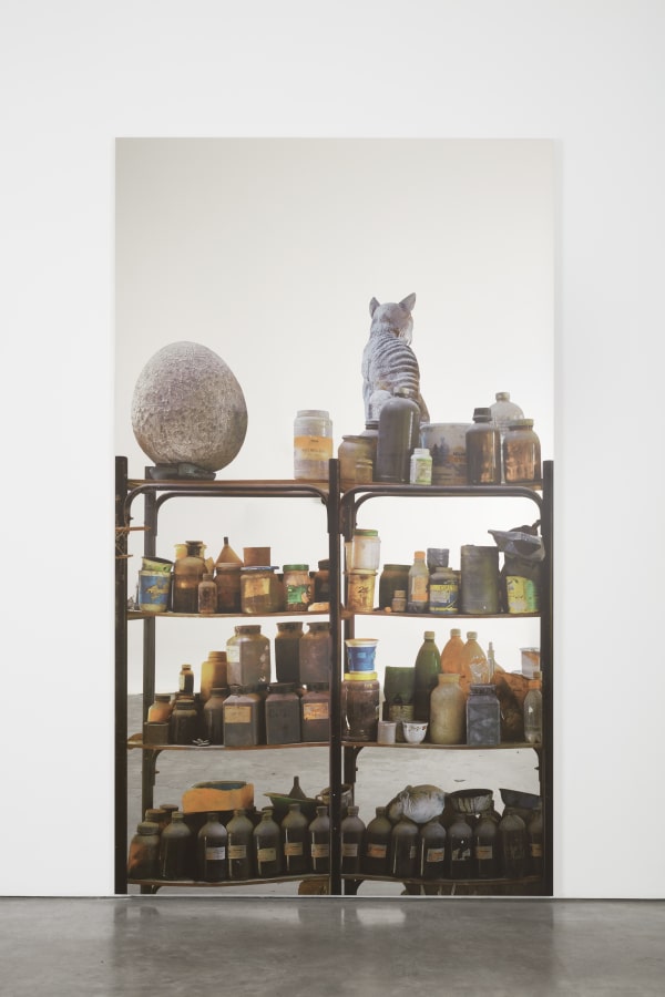 Artwork: Michelangelo Pistoletto, Scaffali - Accademia de Bellas Artes, La Habana con uovo (Shelves – Academy of Bellas Artes, La Habana with egg), 2015