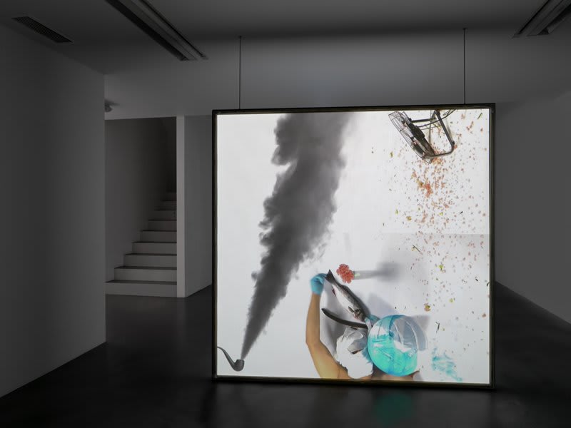 Artwork: Alex Hubbard, Bottom of the Top, 2012
