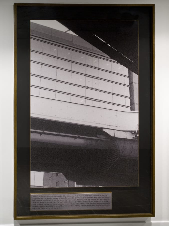 Artwork: João Penalva, She had no idea, 2008