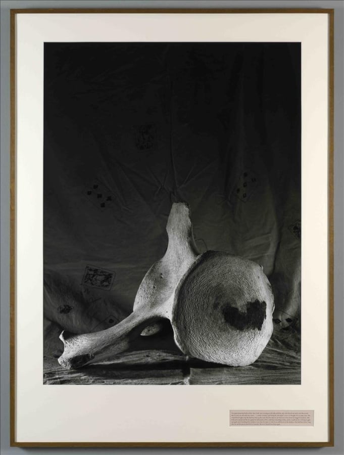Artwork: João Penalva, Deaf boy's bone, 2010