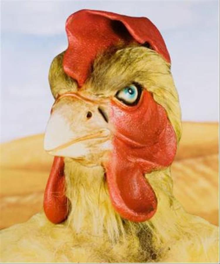 Artwork: Marnie Weber, Dirty Chicken Portrait, 2008