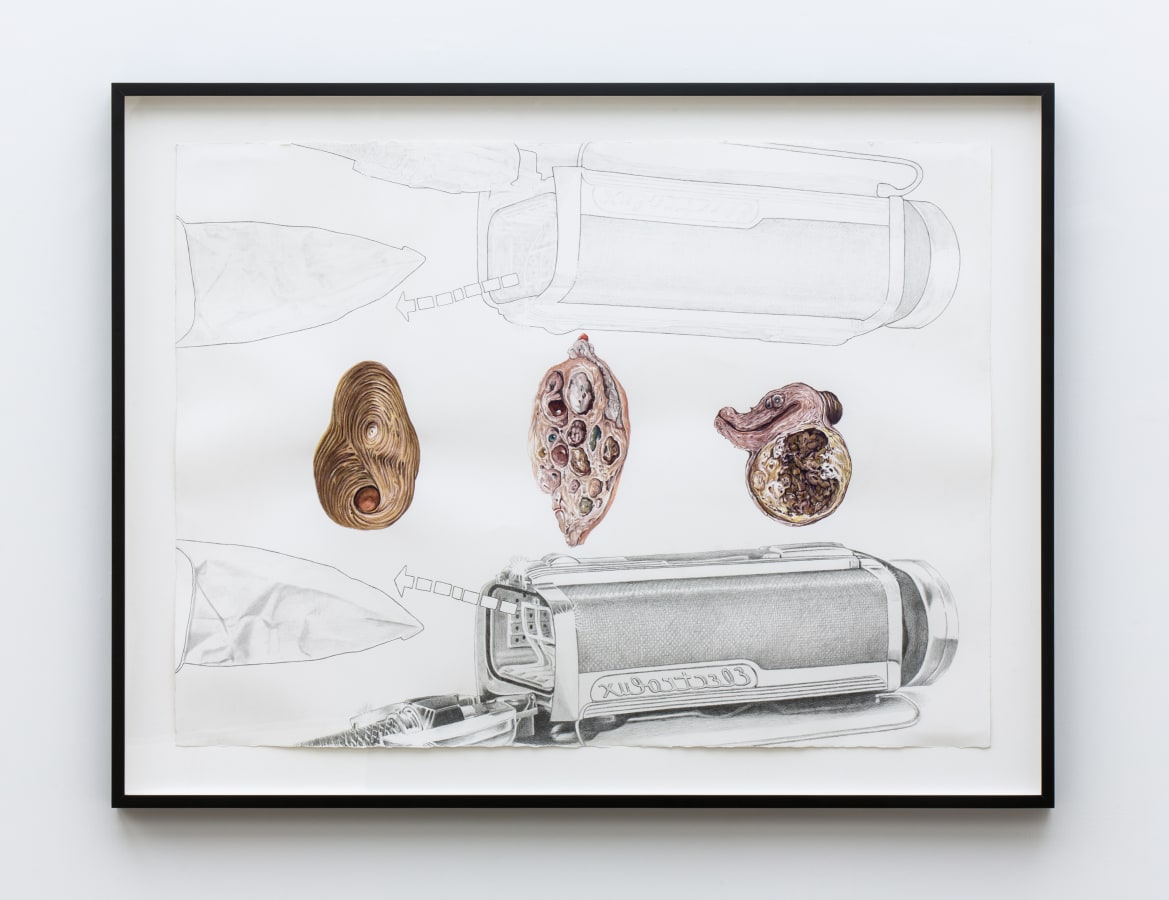 Artwork: Jim Shaw, Anatomical Weird-Ohs with Mirrored Vacuum Cleaners, 2013