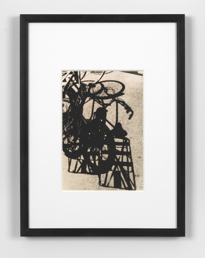 Artwork: João Penalva, Michio Harada, Tsukiji Fish Market no. 5, 1972, 2015