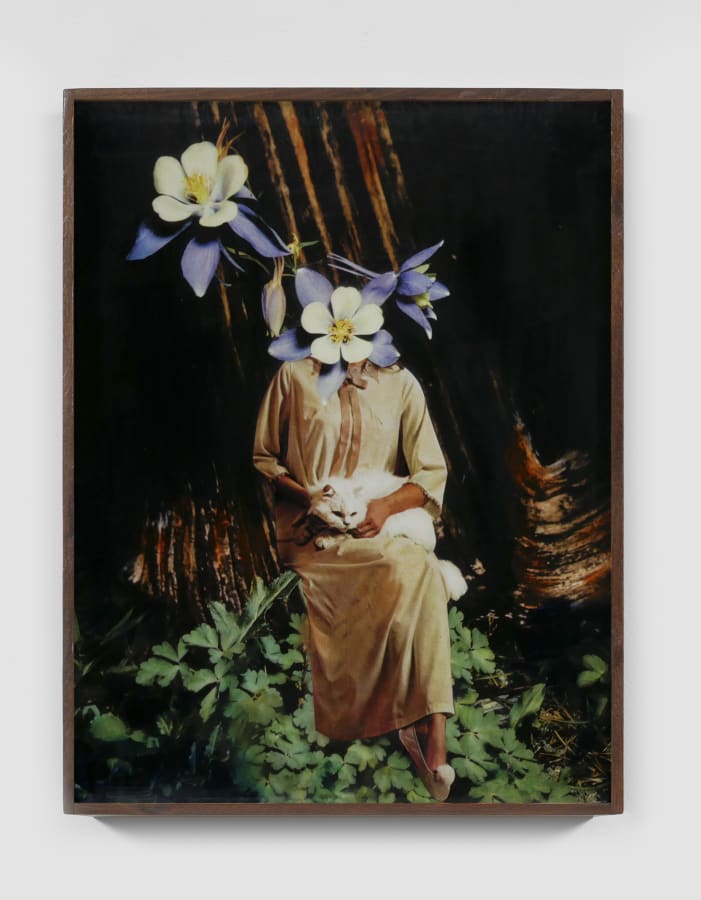 Artwork: Marnie Weber, Flowers for a White Cat, 2019