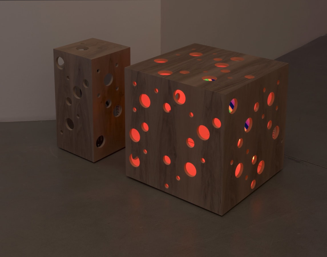 Artwork: Angela Bulloch, Euro Nut 1, 2010