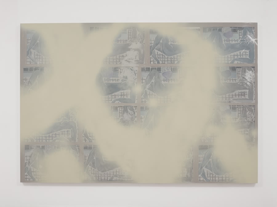 Artwork: Toby Ziegler, Quantum suicide, 2016
